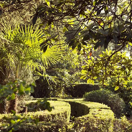 Frühstückspension Mas De Lafeuillade Montpellier