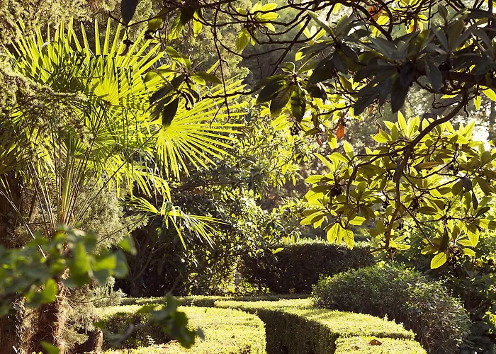 住宿加早餐酒店 Mas De Lafeuillade 蒙彼利埃